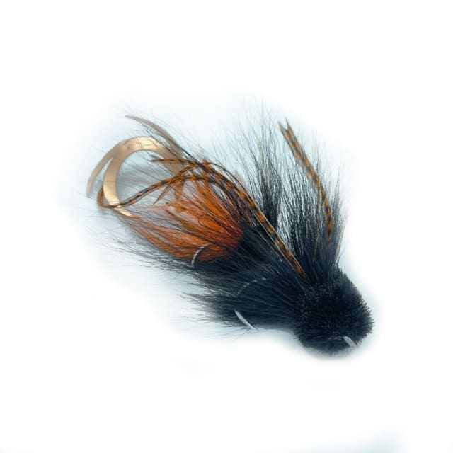 Bufford X Pacchiarini - Black & Orange