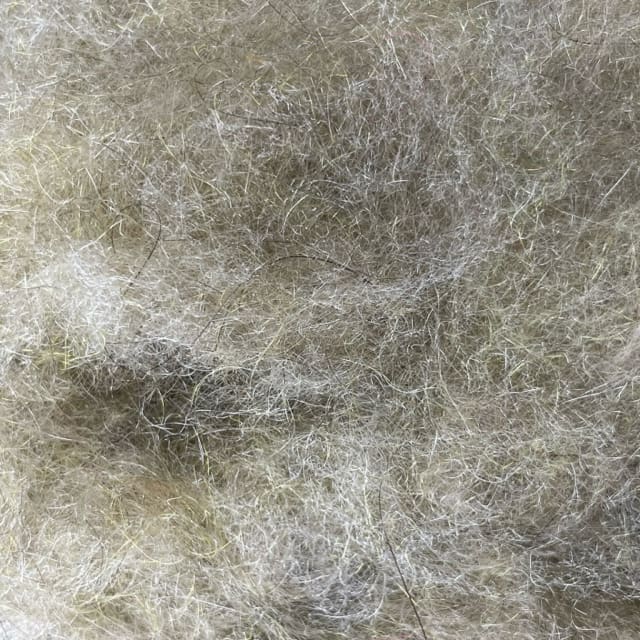 Life Cycle Dubbing - Caddis