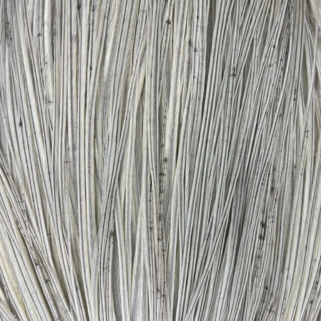 Whiting Hebert Miner Dry Fly - Pro Grade Cape - Noir