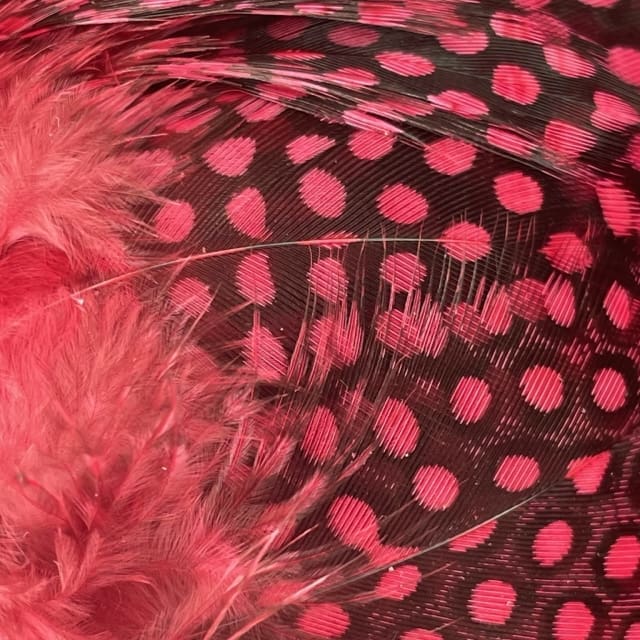 Premium Guinea Strung Feather - Dyed