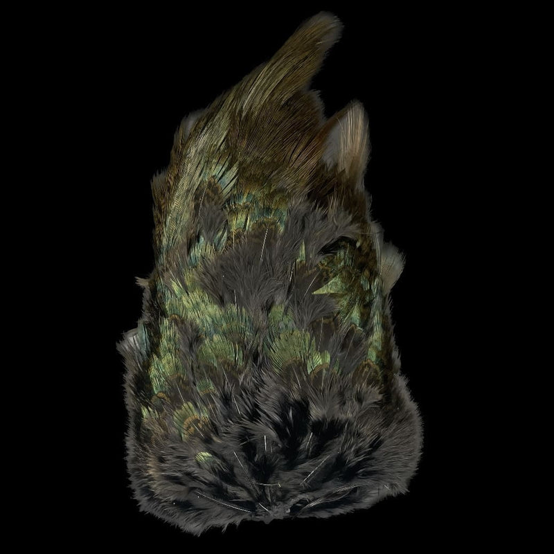 Ringneck Pheasant - Rump Patch