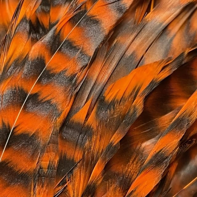 Whiting Muskie Pack Schlappen 10''-14''