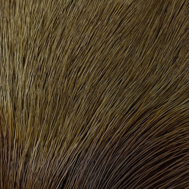 Deer Belly Hair