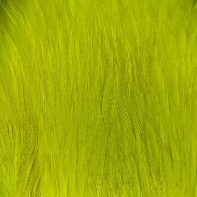 Chinese Rooster Neck