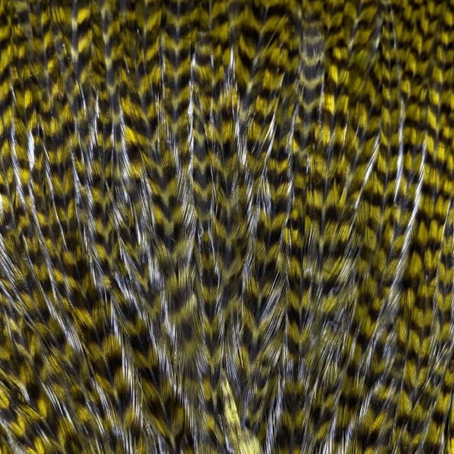 Ewing - Grizzly Rooster Saddle