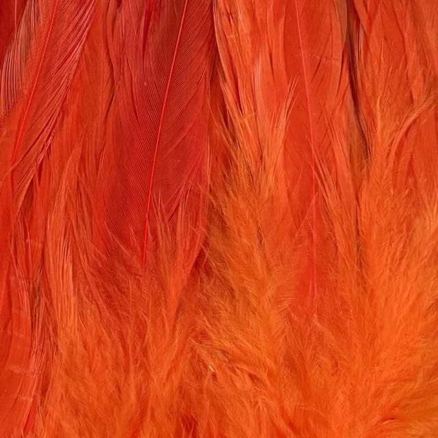 Strung Hackle 3'' to 5"