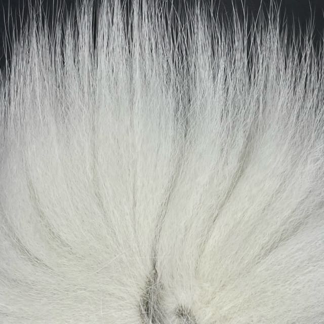 Arctic Fox Tail