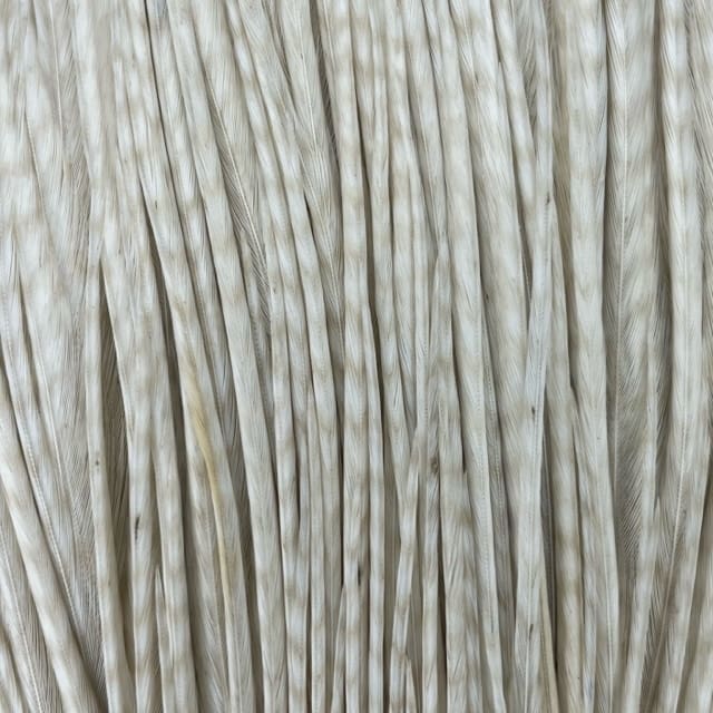 Whiting Dry Fly Hackle - High &amp; Dry