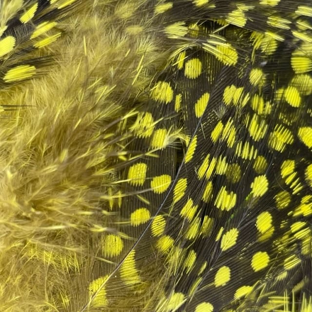 Premium Guinea Strung Feather - Dyed