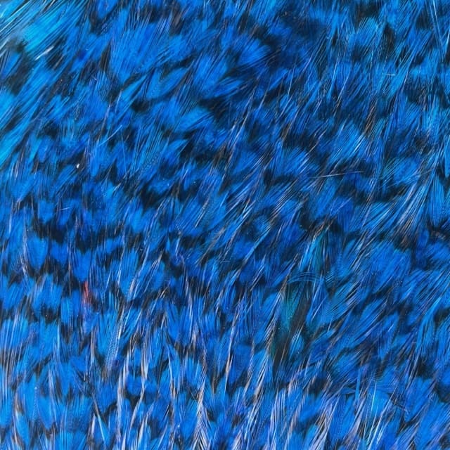 Whiting American Rooster - Cape