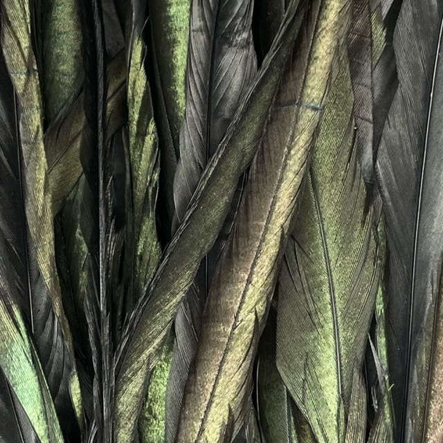 Whiting Muskie Pack Schlappen 10''-14''