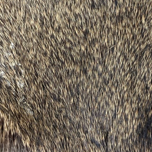 Deer Hair - Short &amp; Fine