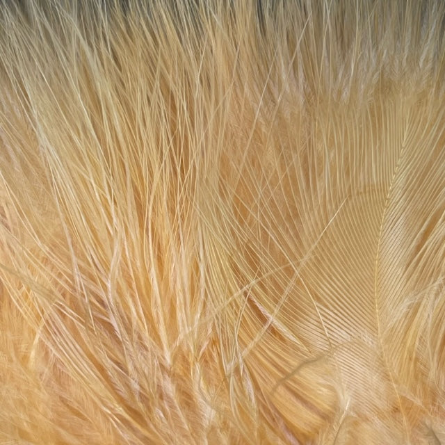 Strung Marabou - 1/4oz