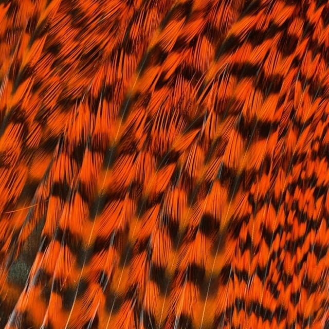 Whiting Bugger-Bomber Pack