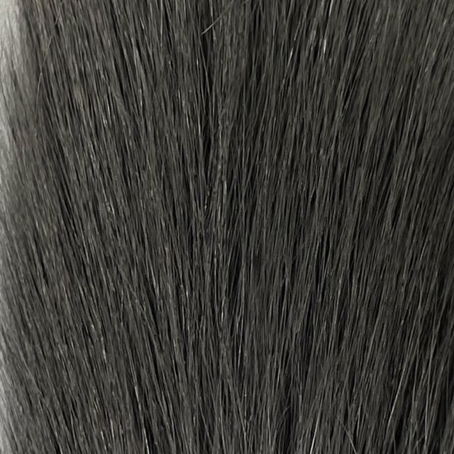 Grey Squirrel - Tail