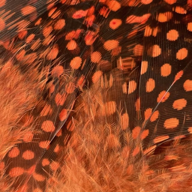 Guinea Fowl - Dyed Feathers