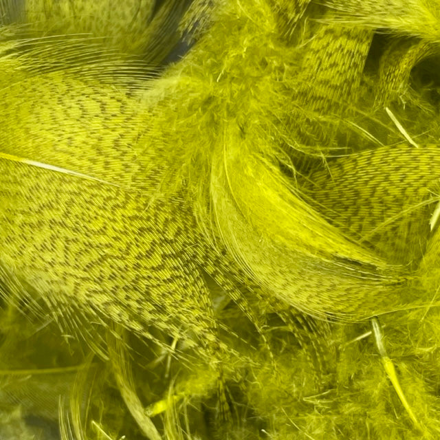 Mallard - Dyed Flank