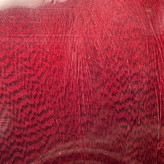 Mallard Barred - Flank Select