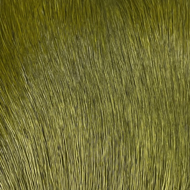 Deer Belly Hair