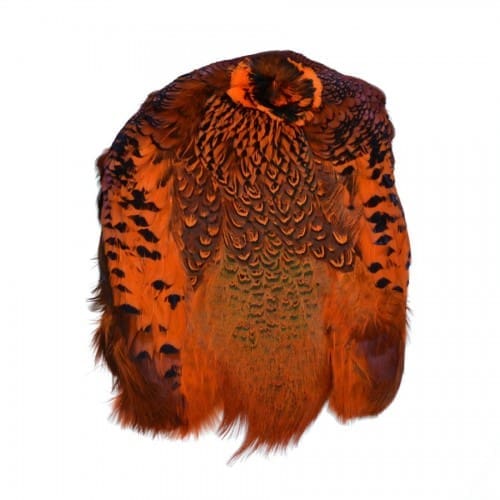 Ringneck Pheasant - Full Skin Dyed