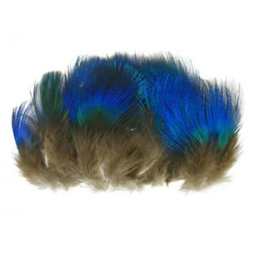 Peacock - Blue Plumage - 12 Feathers