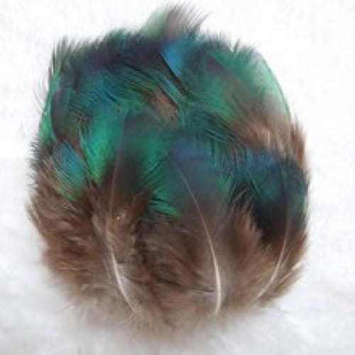 Paon - Plumage Vert - 12 Plumes