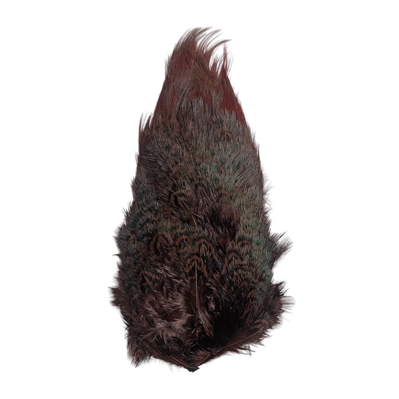 Ringneck Pheasant - Rump Patch