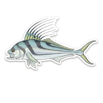 Rooster Fish Sticker — Boutique Salmo Nature