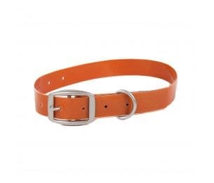 Collier pour Chien Salty - 15''-24'' - Brown Trout