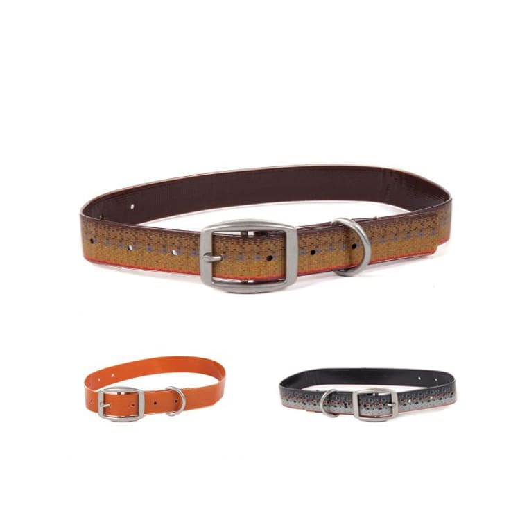 Collier pour Chien Salty - 15''-24'' - Brown Trout