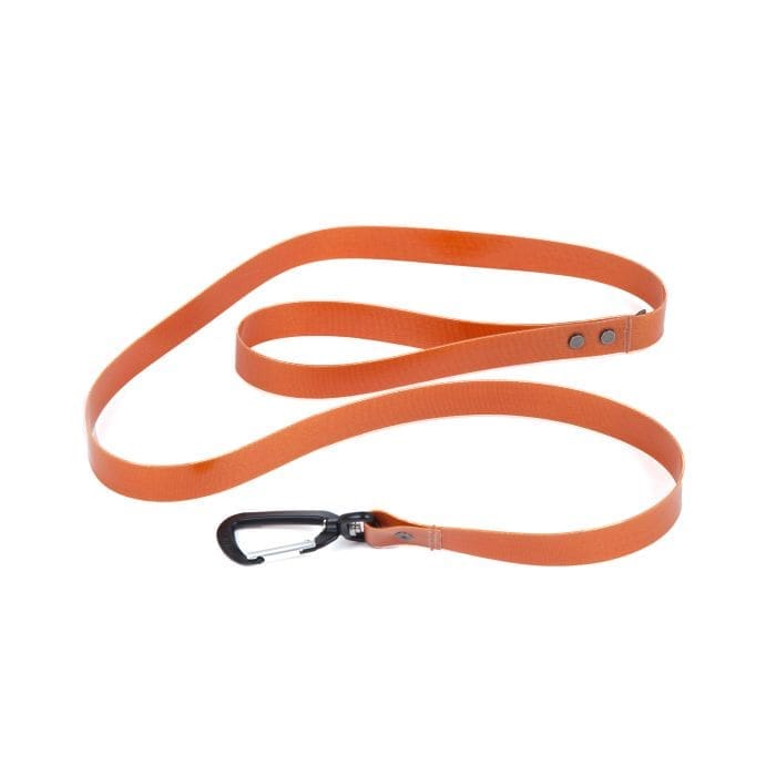 Salty Dog Leash - 54''