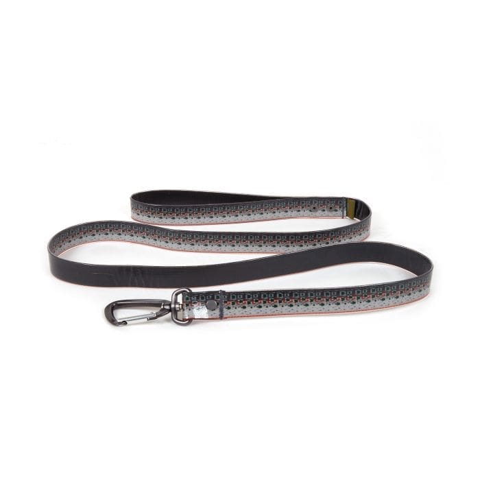 Salty Dog Leash - 54''