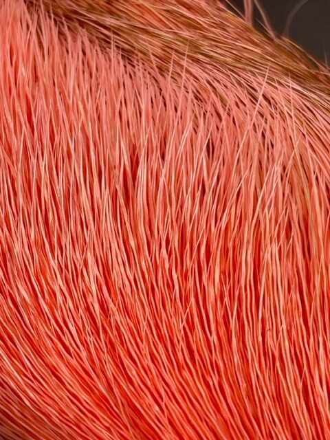 Deer Belly Hair