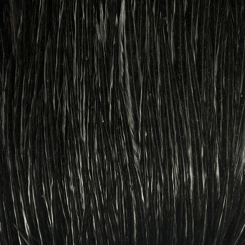 Ewing - Rooster Cape