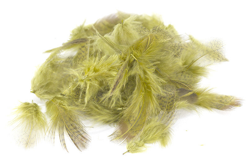 Perdrix Anglaise - Plumes de Cou Grises