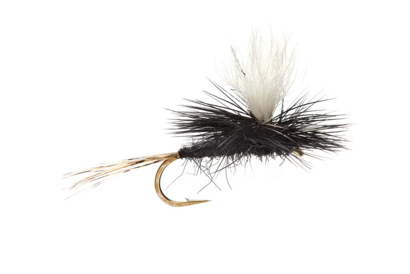 Parachute Ultra Hare Black