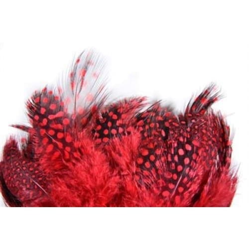 Premium Guinea Strung Feather - Dyed