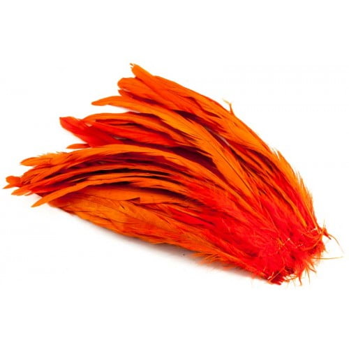 https://salmonature.com/wp-content/uploads/2024/03/rooster-tail-feathers.jpg